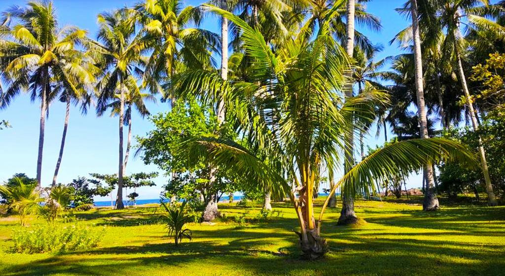 Somewhere Else Boutique Resort Мамбахао Экстерьер фото